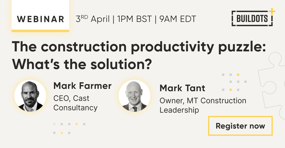 The Construction Productivity Puzzle